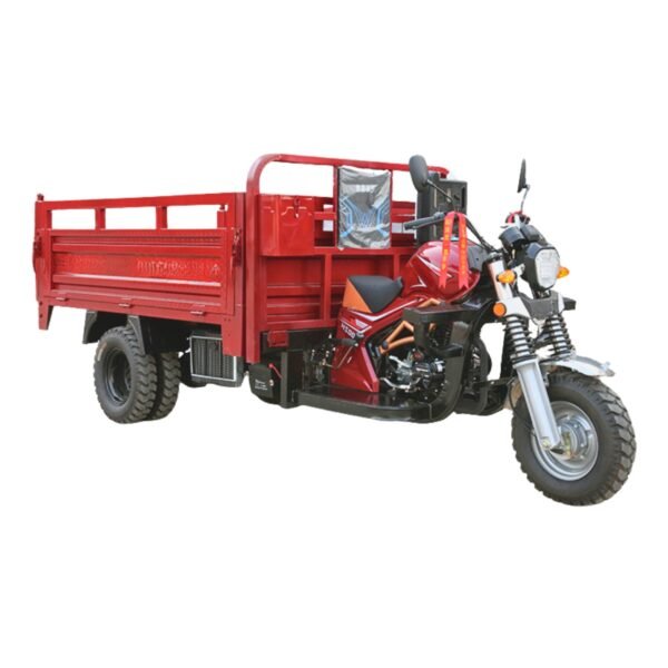 Three-Wheel Motorcycle