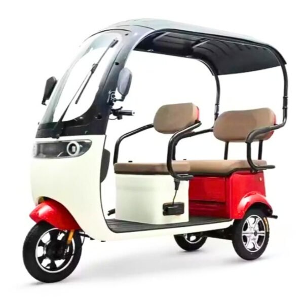 Electric Tricycle with Canopy