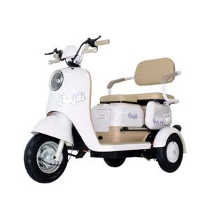 Electric Trike