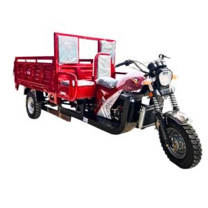 Fuel-Powered Cargo Tricycle