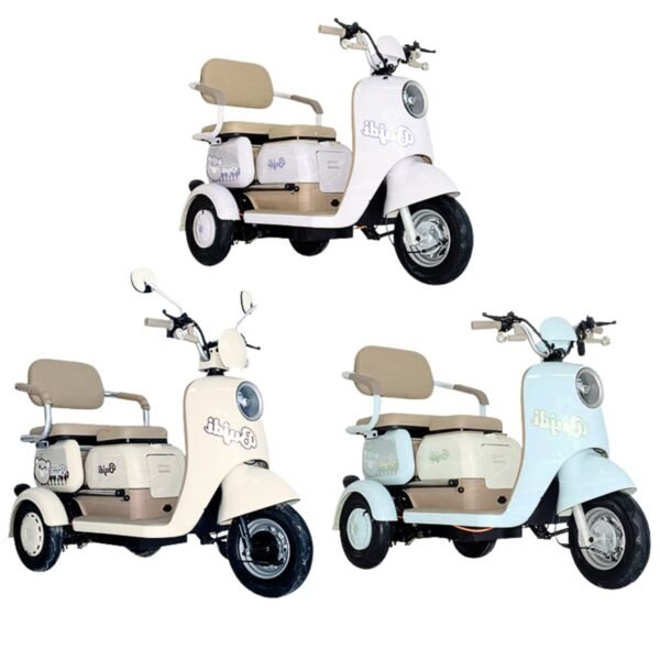 Electric Trike
