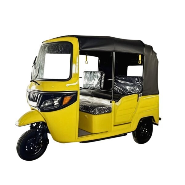 China Three Wheeler Cargo Tuk Tuk Motor Regular Passenger 3 Wheel Bicycle Africa - Image 2