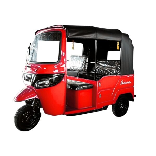 China Three Wheeler Cargo Tuk Tuk Motor Regular Passenger 3 Wheel Bicycle Africa - Image 3