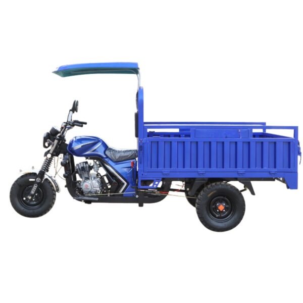 Covered Gas-Powered Tricycle