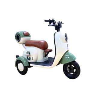 Electric Cargo Tricycle