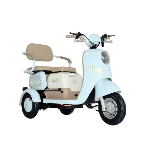 Electric Trike
