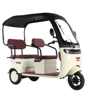 Electric Tricycle with Canopy