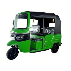 China Three Wheeler Cargo Tuk Tuk Motor Regular Passenger 3 Wheel Bicycle Africa