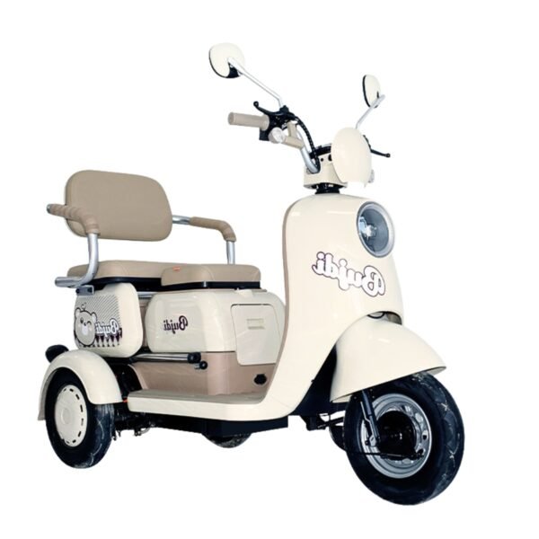 Electric Trike