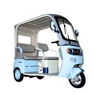 Electric Three-Wheel Vehicle with Roof