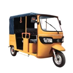Electric Passenger Tricycle