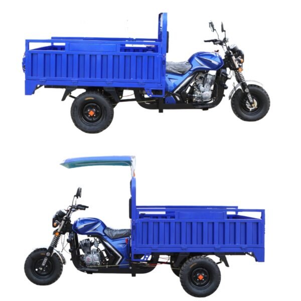 Covered Gas-Powered Tricycle